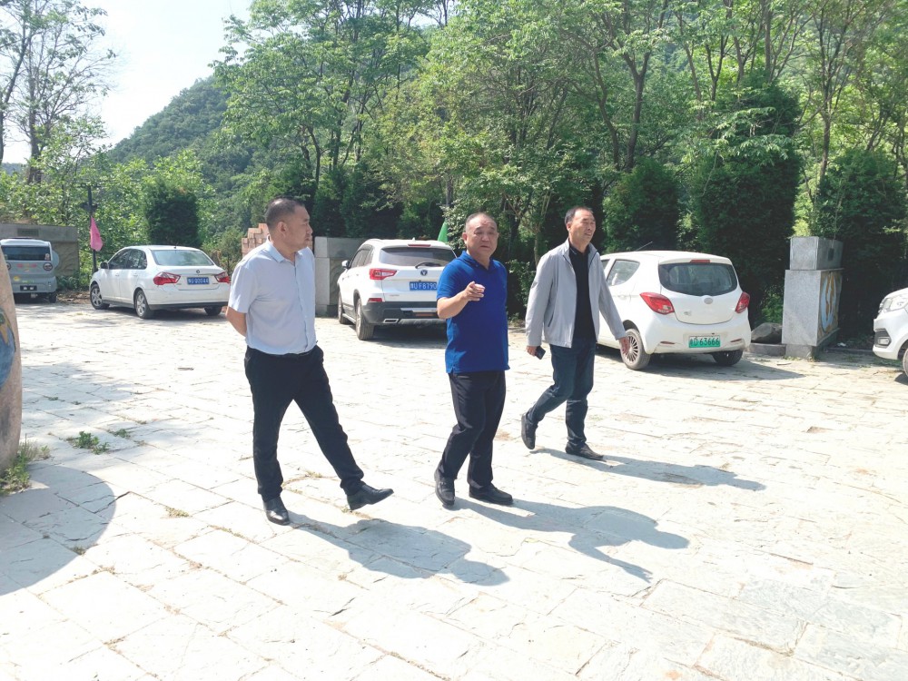 Wang Weiguo, Secretary of the Party Group and Director of the Forestry Bureau of the Demonstration Zone, conducted on-site research on the progress of the geological park museum improvement project